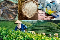 Chiến lược thúc đẩy xuất khẩu nông lâm thủy sản vượt ngưỡng 74 tỷ USD