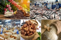 Xuất khẩu nông, lâm, thủy sản tăng trưởng ấn tượng, đạt gần 42,8 tỷ USD