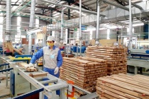 Ngành gỗ cần chuyển đổi xanh và hội nhập bền vững để nâng cao năng lực cạnh tranh
