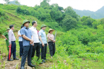 Thanh Hóa: Nước suối Xủ chuyển màu bất thường, địa phương đề nghị xác định nguyên nhân 