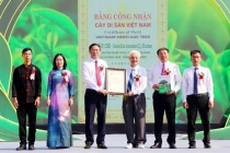 Quảng Ninh: Khai mạc lễ hội “Trà Đường Hoa” và đón Bằng công nhận Cây chè Di sản Việt Nam