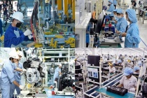Hà Lan - Thị trường tiềm năng để doanh nghiệp công nghiệp chế tạo bứt phá