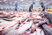 Việt Nam sẽ kiểm tra doanh nghiệp chế biến xuất khẩu thuỷ sản sang châu Âu