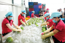Nông, lâm, thủy sản xuất siêu lớn, khẳng định vai trò 'trụ đỡ' nền kinh tế