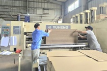 Xây dựng Đảng trong kinh tế tư nhân: Từng bước hình thành mô hình “đảng bộ số, chi bộ số, đảng viên số”