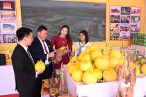 Bưởi Phúc Trạch – Miền di sản trăm năm của vùng đất huyền thoại