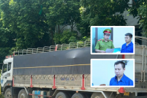 Hưng Yên: Khởi tố, bắt tạm giam 2 người liên quan hơn 18m³ gỗ