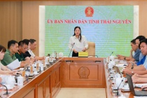 Thái Nguyên tăng tốc chuẩn bị Festival Trà Quốc tế năm 2026