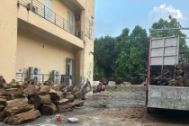 Vụ vận chuyển hơn 18m³ gỗ từ Thanh Hóa ra Hưng Yên: Xác định thuộc nhóm IA