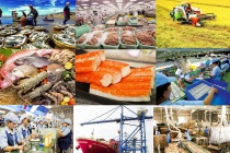 Gỡ 'nút thắt' vốn và ngoại ngữ cho doanh nghiệp xuất khẩu bứt phá