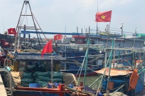 Nghệ An thực hiện nghiêm túc các khuyến nghị về chống khai thác IUU