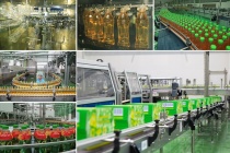 Thể chế tốt mở đường cho doanh nghiệp tích lũy nội lực 