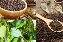 Ngành tiêu tăng tốc xuất khẩu và bài toán giữ thị phần