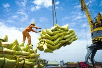 Điều kiện kinh doanh xuất khẩu gạo