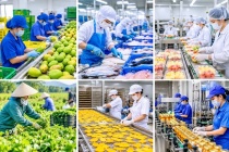 Doanh nghiệp Việt cần chuyển mạnh từ tư duy bán hàng sang phát triển thị trường