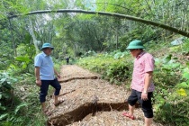 Thanh Hóa di dời khẩn cấp 180 người khỏi khu vực nguy cơ sạt lở
