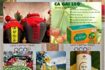 Xây dựng thương hiệu, mở rộng thị trường và gia tăng giá trị sản phẩm OCOP