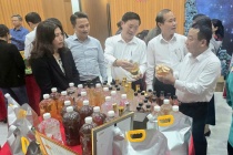 Nghệ An cho ý kiến về tiêu chí nông thôn mới và phát triển sản phẩm OCOP