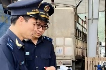Hải quan kiến nghị tháo gỡ vướng mắc đối với urê nhập khẩu