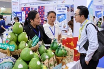 HCMC Export 2026: Đòn bẩy đưa hàng Việt vươn ra thị trường quốc tế