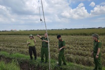Ninh Bình: Xử lý nghiêm các hành vi săn bắt, kinh doanh chim di cư, hoang dã