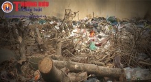 Cẩm Yên: Những khúc cây trên bãi rác 'ngủ quên'