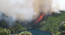 Bắc Trung Bộ liên tiếp xảy ra cháy rừng