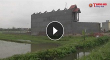 Yên Phúc- Ý Yên (Nam Định): Hàng trăm nghìn mét vuông đất nông nghiệp bị sử dụng sai mục đích