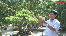 Nghệ nhân Nguyễn Văn Khuyến - Người 'Thổi hồn' cho cây
