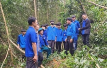 Tuổi trẻ Thanh Hoá tình nguyện tham gia hỗ trợ xây dựng đường dây 500kV mạch 3 về đích