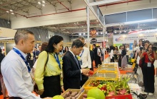 Hội chợ định hướng xuất khẩu: Cơ hội quảng bá sản phẩm mang thương hiệu Việt