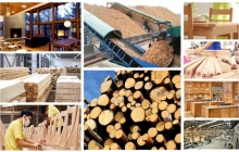 Kim ngạch xuất khẩu gỗ và sản phẩm gỗ ước đạt hơn 6 tỷ USD