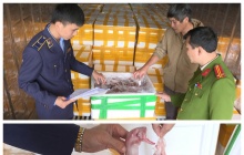 Thu giữ hơn 10 tấn cá khoai chứa chất Formol nguy hại đến sức khỏe người tiêu dùng