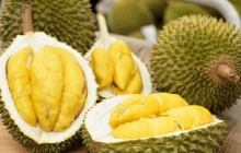 Sầu riêng, cà phê bứt phá đưa kim ngạch xuất khẩu toàn ngành tiến sát kỷ lục 