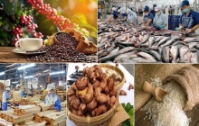 Xuất khẩu nông lâm thủy sản lập đỉnh 70 tỷ USD, khẳng định vị thế 'trụ đỡ' nền kinh tế