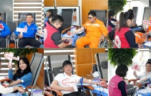 Điện lực Thanh Hóa: Vững vàng vượt khó, bảo đảm điện cho phát triển kinh tế - xã hội