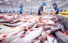 Năm 2026, ngành thủy sản hướng tới mục tiêu xuất khẩu 11,5 tỷ USD