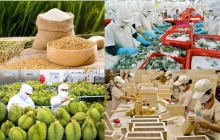 Năm 2026, cả nước phấn đấu xuất siêu trên 23 tỷ USD