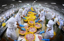 Ngành thủy sản Việt Nam lập kỷ lục 11,3 tỷ USD trong năm 2025