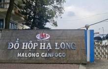 Hải Phòng: Khởi tố Tổng Giám đốc Công ty Cổ phần Đồ hộp Hạ Long 