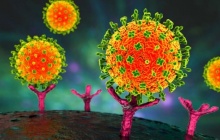 Việt Nam chưa ghi nhận trường hợp mắc bệnh do virus Nipah