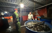 TP.HCM: Triệt phá đường dây ngâm 3.000 tấn ốc bươu bằng hóa chất