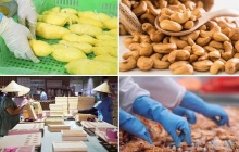 Ngành Nông nghiệp và Môi trường đặt mục tiêu xuất khẩu 74 tỷ USD trong năm 2026