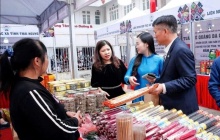 Hà Nội: Khai mạc Triển lãm thủ công mỹ nghệ sáng tạo phục vụ Xuân Bính Ngọ 2026