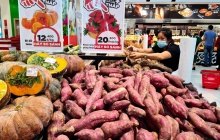 Người Nhật chi hơn 6.000 tỷ đồng mua rau quả Việt: Hoa cúc, chuối và khoai lang chiếm ưu thế