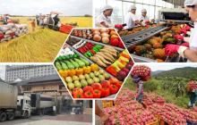 Nông sản Việt và bài toán xây dựng thương hiệu giá trị cao trên toàn cầu