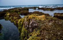 Đảo tiền tiêu Cồn Cỏ - “viên ngọc thô” của tỉnh Quảng Trị