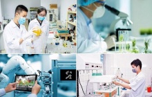 Lần đầu tiên Việt Nam có Nghị quyết về Chiến lược quốc gia về khởi nghiệp sáng tạo