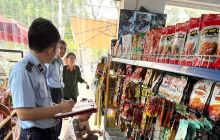 Thanh Hóa: Thu giữ gần 1.000 sản phẩm thực phẩm sụn gà, cánh gà nghi nhập lậu