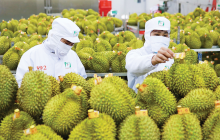 Xuất khẩu rau quả đạt hơn 2 tỷ USD sau 4 tháng 